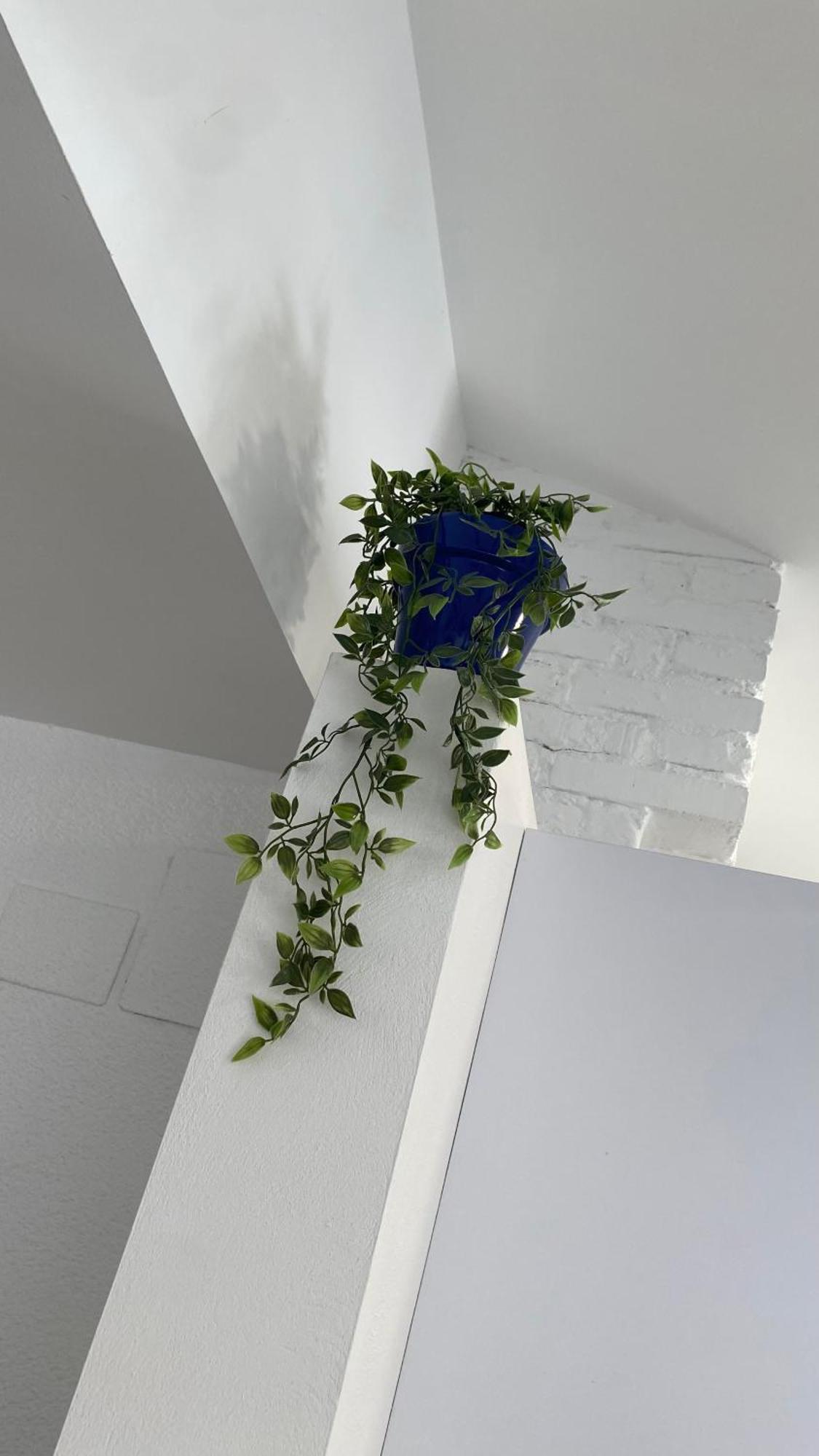 Plaza Andalucia Apartment -A 10Min Caminando Del Puente Romano Cordoba Dış mekan fotoğraf